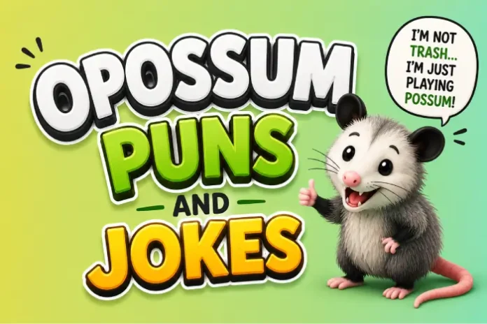 Opossum Puns And Jokes