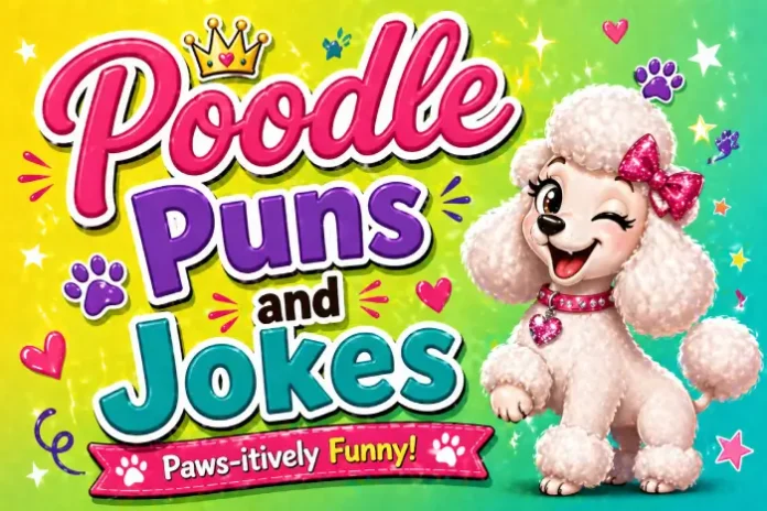poodle puns and jokes